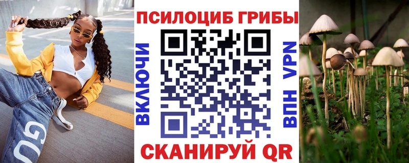дарнет шоп  маркетплейс телеграм  omg как войти  Псилоцибиновые грибы мицелий  Апатиты 